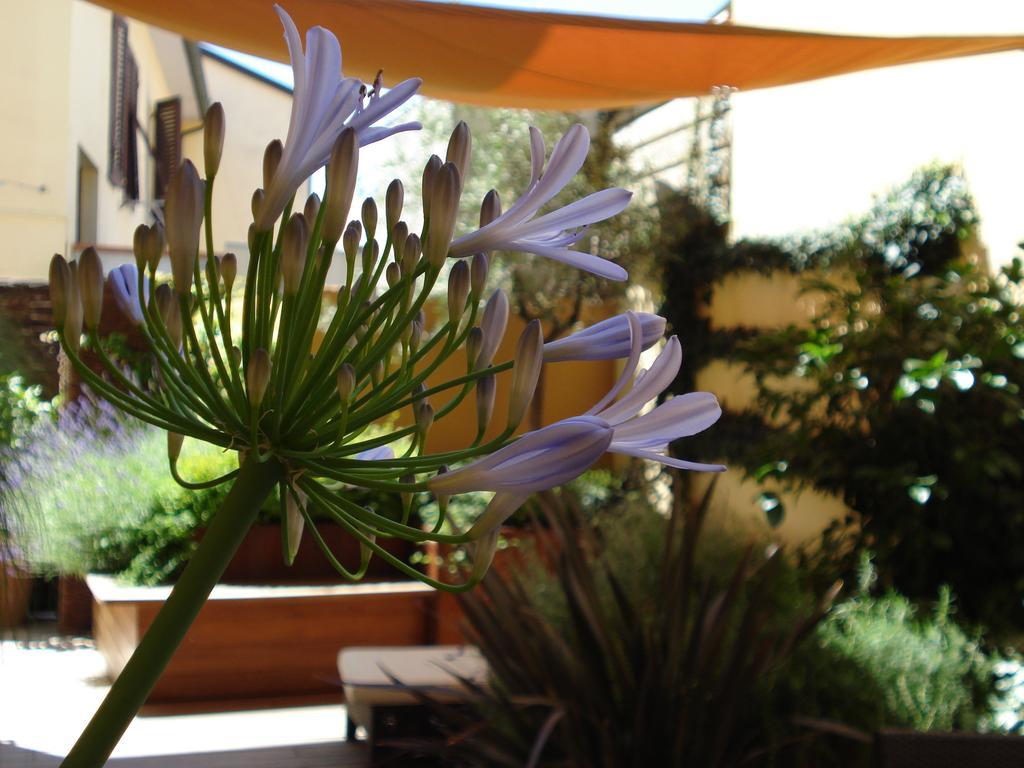 B&B Guerrazzi Pisa Exteriér fotografie