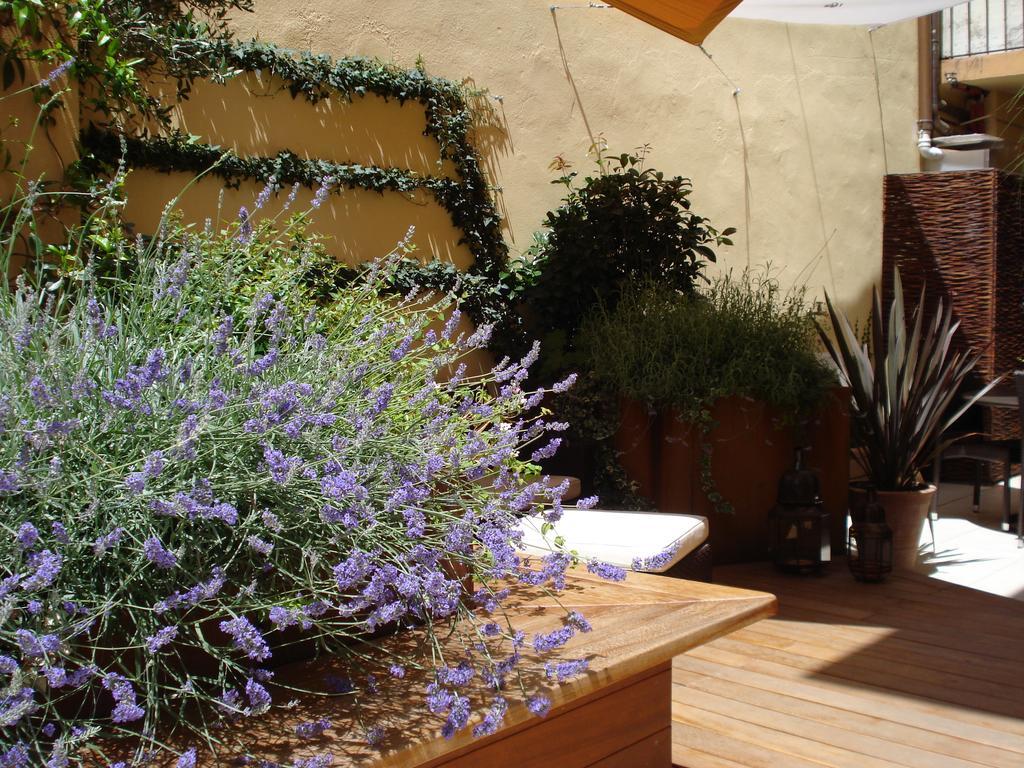 B&B Guerrazzi Pisa Exteriér fotografie